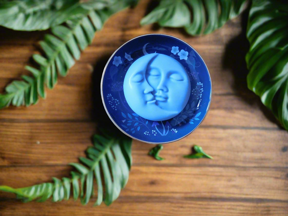 Round Midnight Moth Soap / Trinket Dish