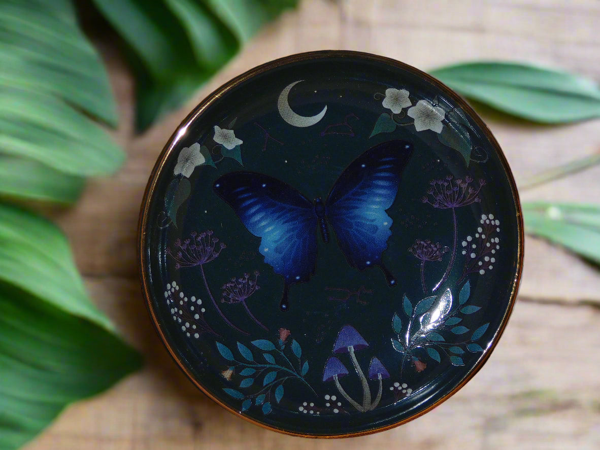 Round Midnight Moth Soap /  Trinket Dish