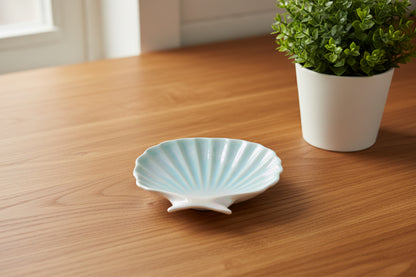 Shell trinket on the top of a wood countetop next to a plant