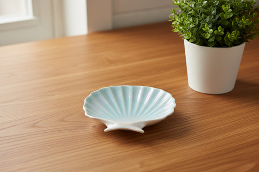 Shell trinket on the top of a wood countetop next to a plant