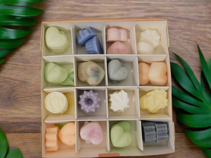 A gift box containing multiple soya wax melts in various colors opened.